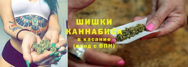 гидропоника Белоозёрский