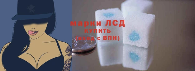 стафф Балахна