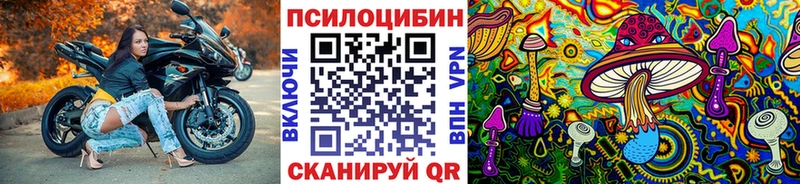 Псилоцибиновые грибы Psilocybine cubensis  Таштагол 